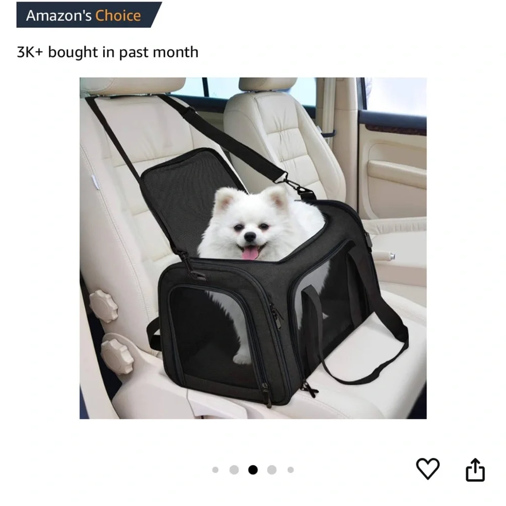 Pet travel carrier